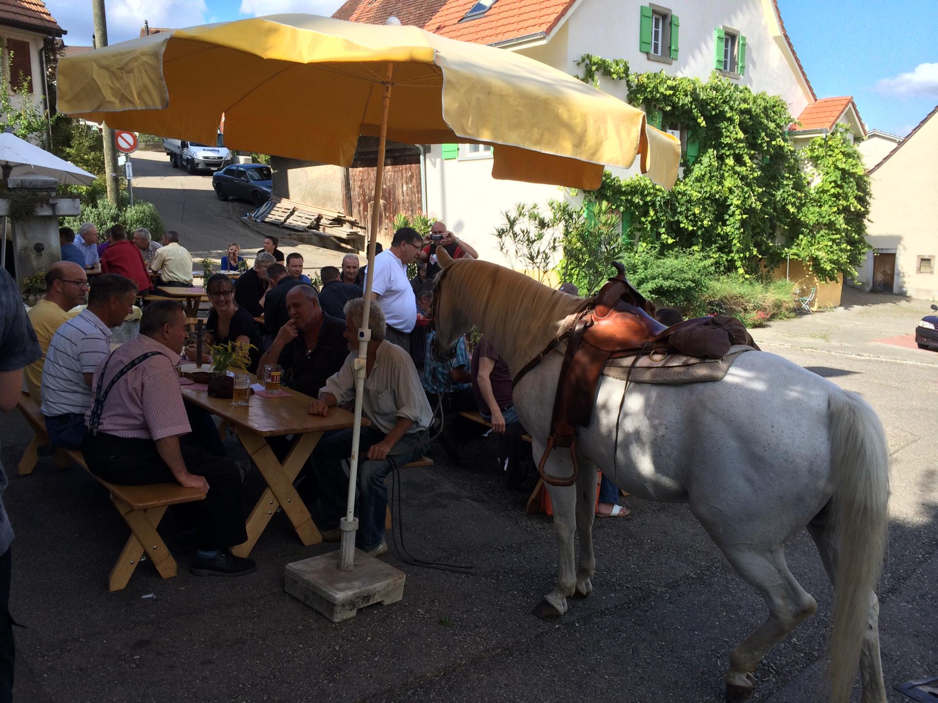 Sommertreff mit ungewöhnlichen "Gästen"